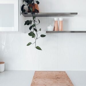 kitchen-plate